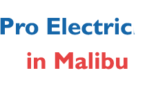 Elecrtitian  Tree In Pro Electric Logo